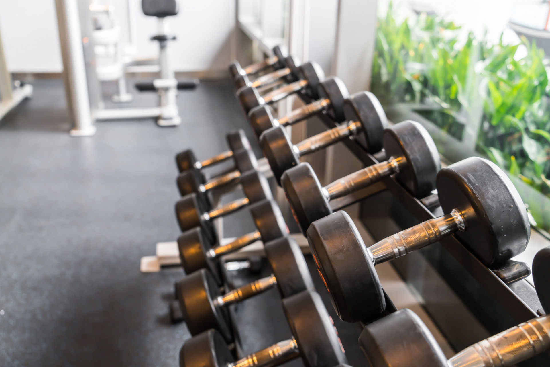 Salle de Musculation