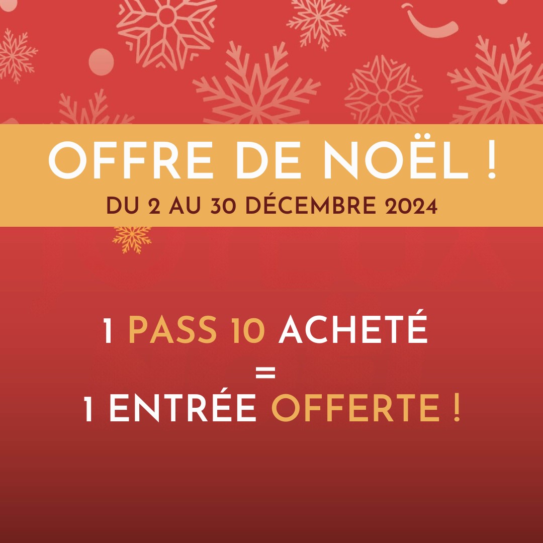 🌲Offre de Noël🌲