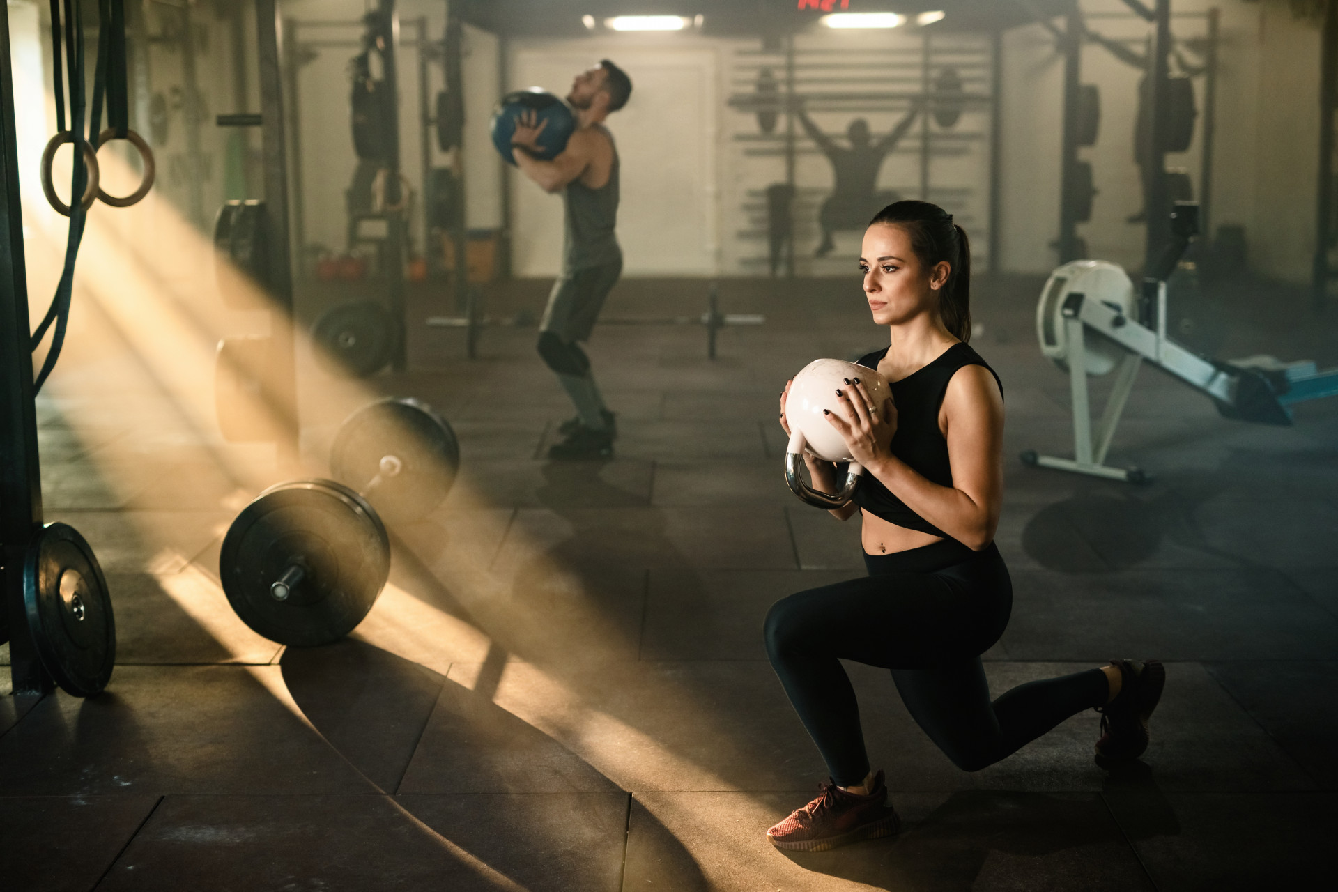 L'UNIVERS DE LA FORME