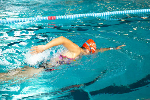 Stage de natation adultes